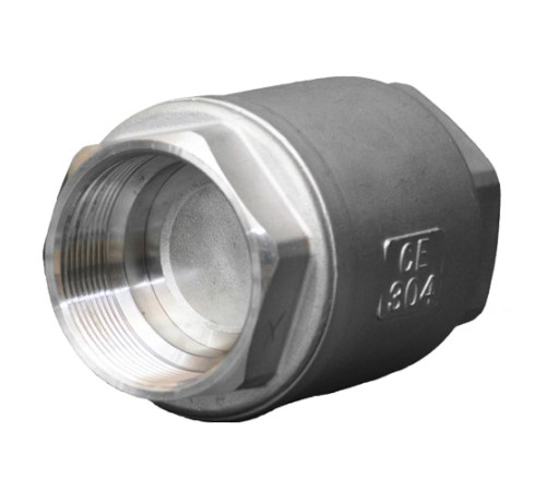 Обратные муфтовые клапаны AISI 304 и 316 в Солигорске