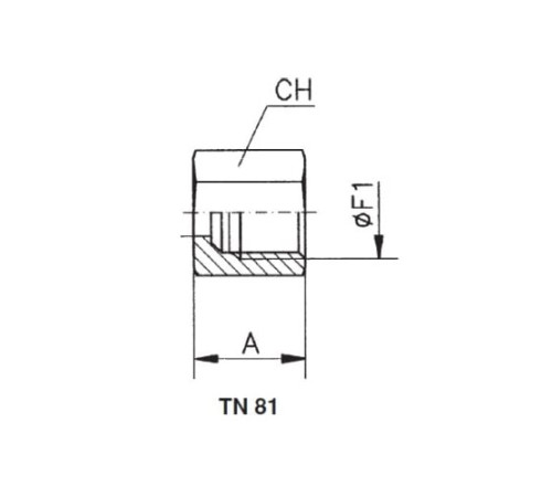 Накидные гайки TN81 и врезные кольца TN88 в Солигорске